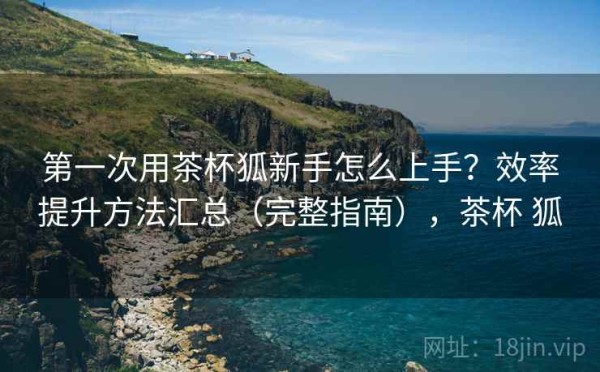 第一次用茶杯狐新手怎么上手？效率提升方法汇总（完整指南），茶杯 狐