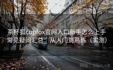 茶杯狐cupfox官网入口新手怎么上手常见疑问汇总：从入门到熟练（实测）