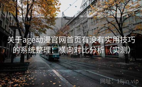 关于age动漫官网首页有没有实用技巧的系统整理：横向对比分析（实测）