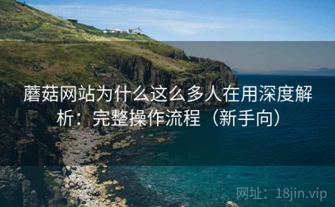 蘑菇网站为什么这么多人在用深度解析：完整操作流程（新手向）