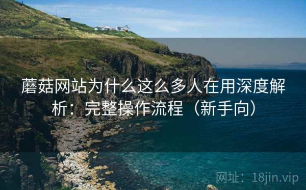蘑菇网站为什么这么多人在用深度解析：完整操作流程（新手向）