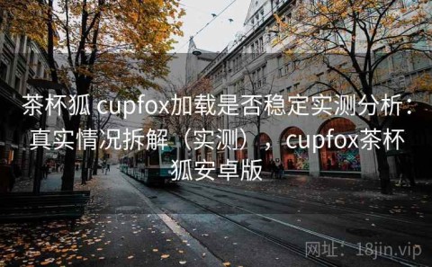茶杯狐 cupfox加载是否稳定实测分析：真实情况拆解（实测），cupfox茶杯狐安卓版