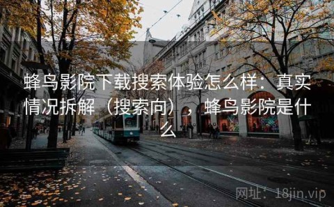 蜂鸟影院下载搜索体验怎么样：真实情况拆解（搜索向），蜂鸟影院是什么