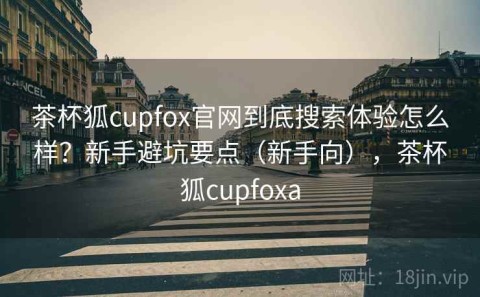 茶杯狐cupfox官网到底搜索体验怎么样？新手避坑要点（新手向），茶杯狐cupfoxa