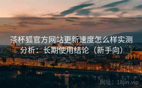 茶杯狐官方网站更新速度怎么样实测分析：长期使用结论（新手向）