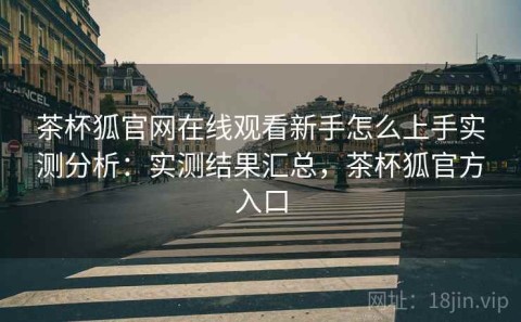 茶杯狐官网在线观看新手怎么上手实测分析：实测结果汇总，茶杯狐官方入口