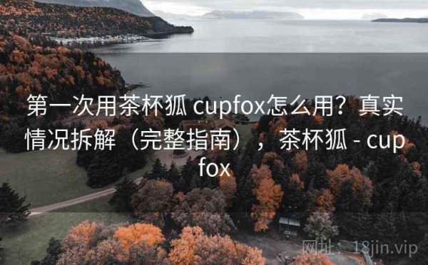 第一次用茶杯狐 cupfox怎么用？真实情况拆解（完整指南），茶杯狐 - cupfox