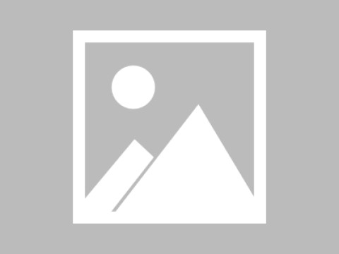 蘑菇tv值不值得用深度解析：用户真实评价（对比后），蘑菇影视现在叫什么