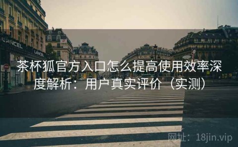 茶杯狐官方入口怎么提高使用效率深度解析：用户真实评价（实测）