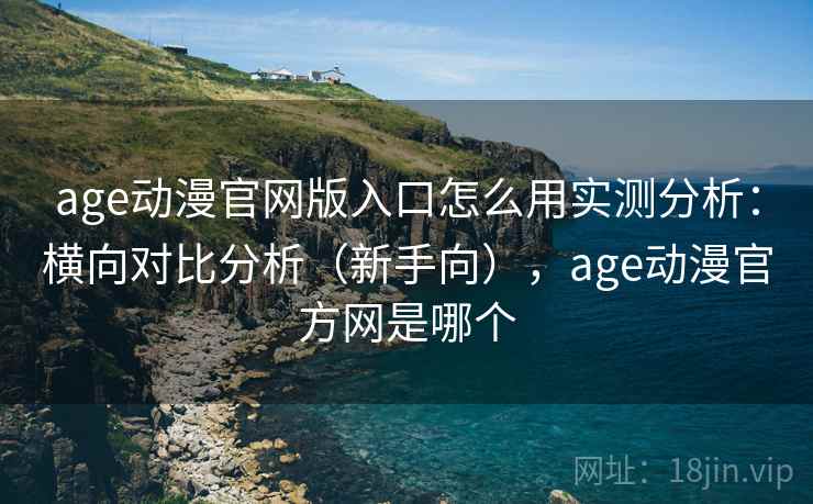 age动漫官网版入口怎么用实测分析：横向对比分析（新手向），age动漫官方网是哪个