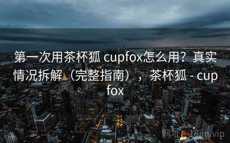 第一次用茶杯狐 cupfox怎么用？真实情况拆解（完整指南），茶杯狐 - cupfox