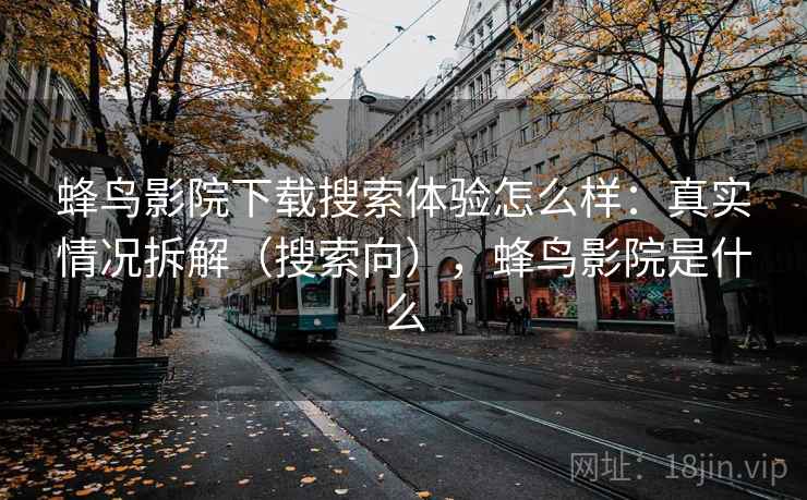 蜂鸟影院下载搜索体验怎么样：真实情况拆解（搜索向），蜂鸟影院是什么