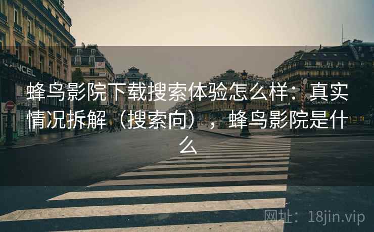 蜂鸟影院下载搜索体验怎么样：真实情况拆解（搜索向），蜂鸟影院是什么