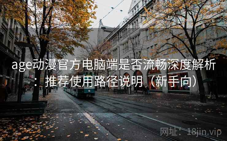 age动漫官方电脑端是否流畅深度解析：推荐使用路径说明（新手向）