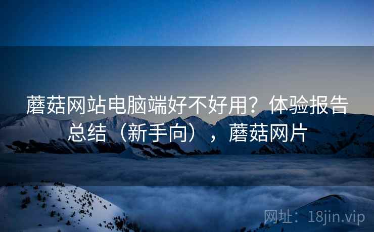蘑菇网站电脑端好不好用？体验报告总结（新手向），蘑菇网片