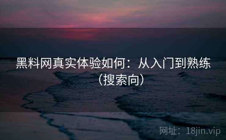 黑料网真实体验如何：从入门到熟练（搜索向）