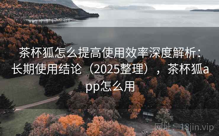 茶杯狐怎么提高使用效率深度解析：长期使用结论（2025整理），茶杯狐app怎么用